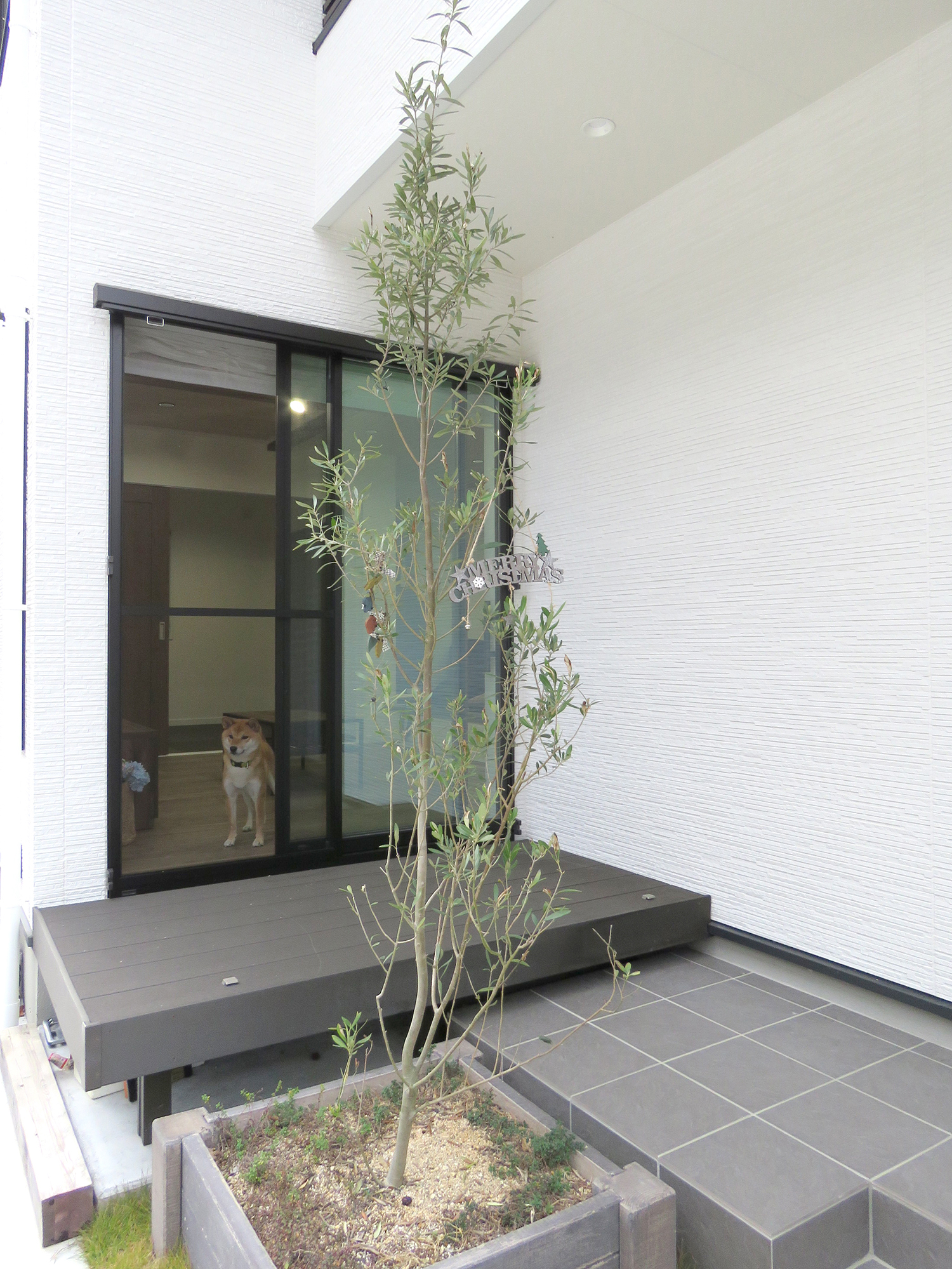  家族の好きが詰まった家が出来ました   アイフルホーム | イワナミ 岩国市柳井市益田市浜田市の注文住宅