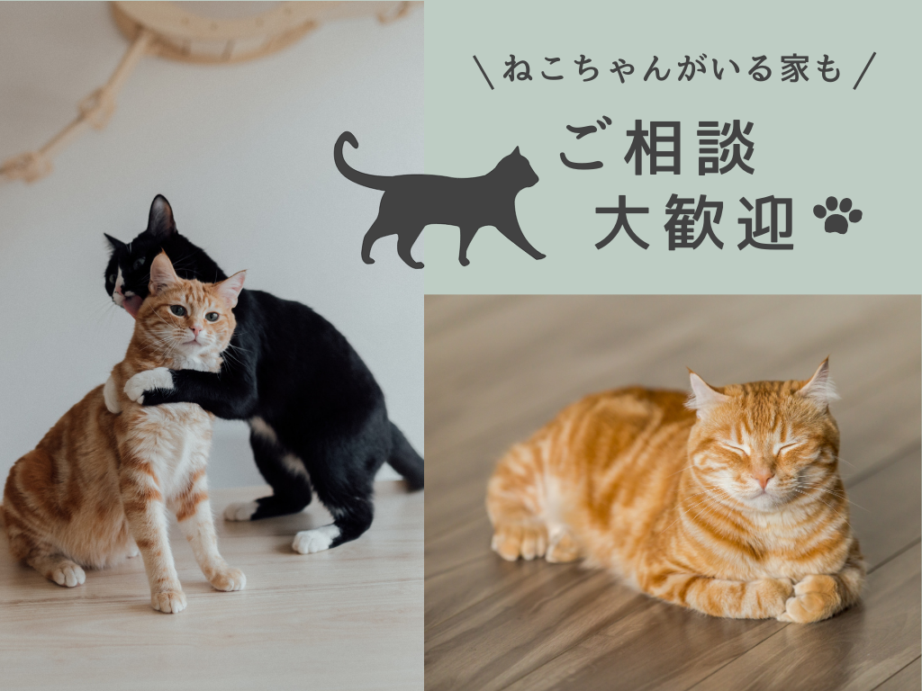  ペットと暮らす家 プランニング提案会 FAVO for PET   アイフルホーム | イワナミ 岩国市柳井市益田市浜田市の注文住宅
