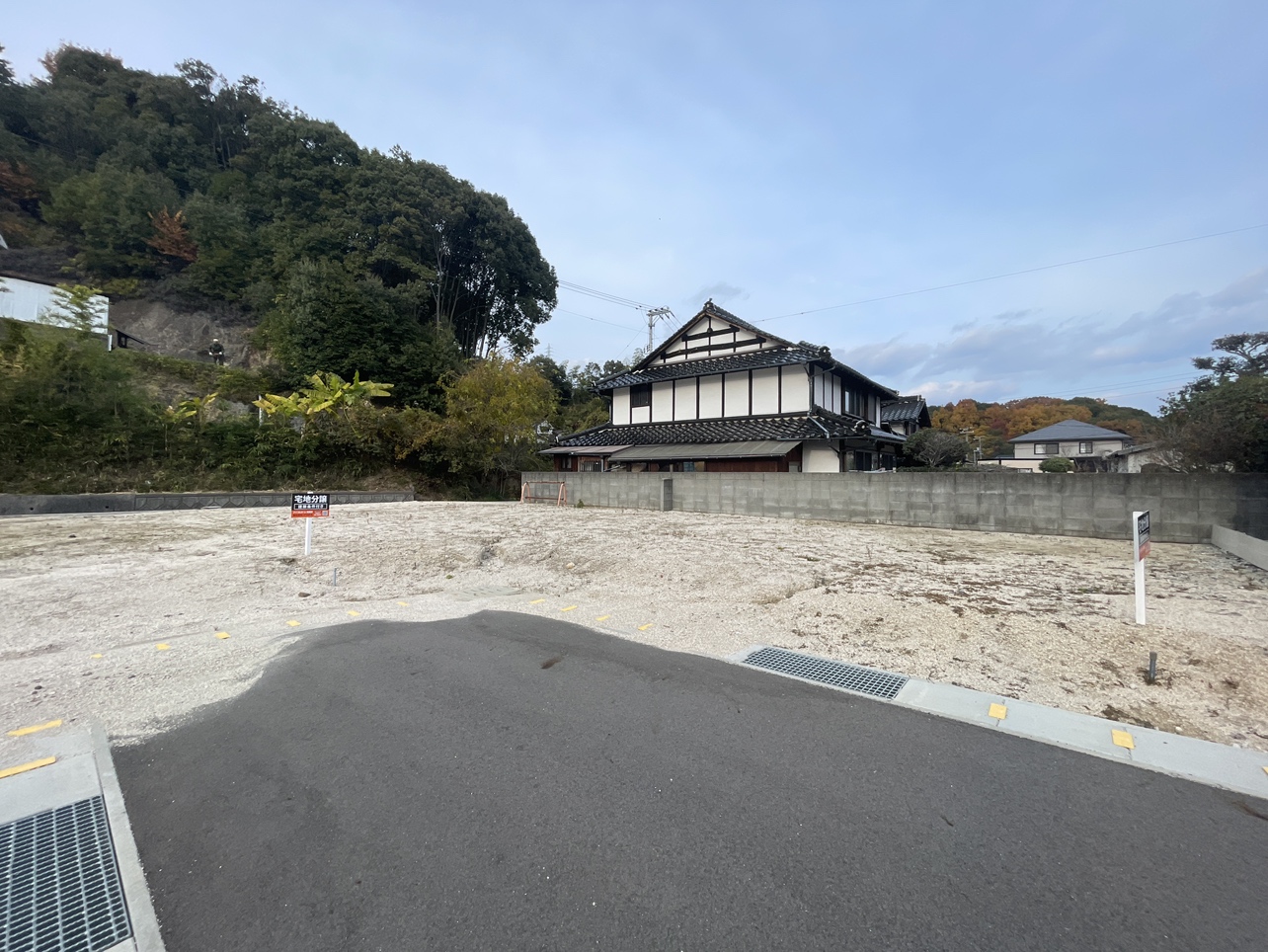 ミライコート室の木