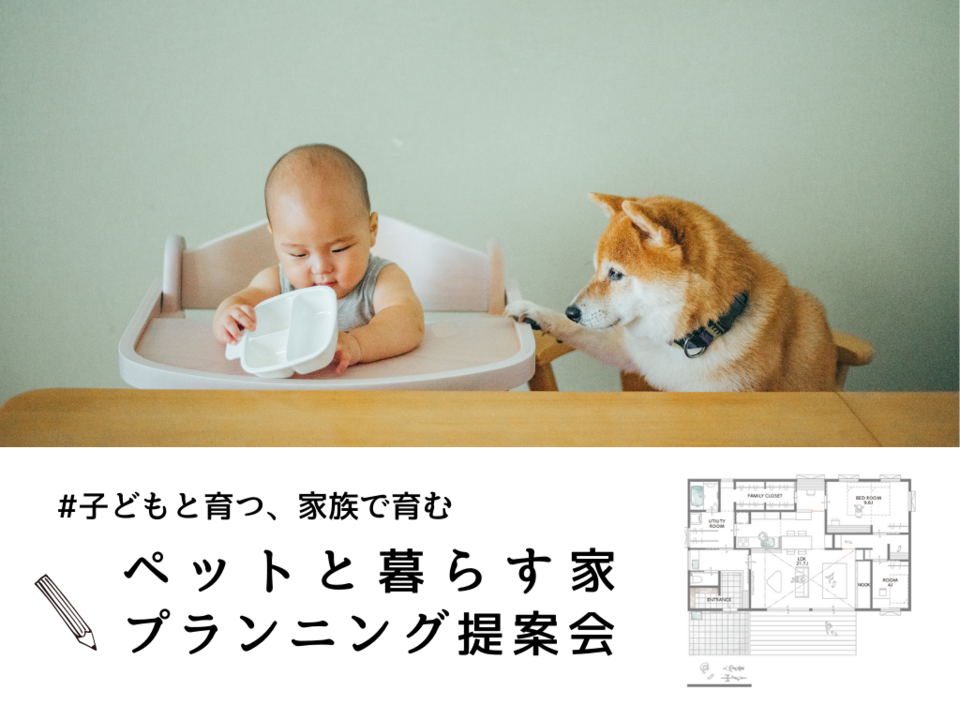  ペットと子どもにやさしい家   アイフルホーム | イワナミ 岩国市柳井市益田市浜田市の注文住宅