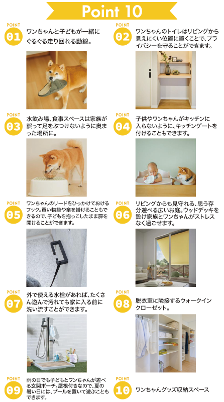  ペットと子どもにやさしい家   アイフルホーム | イワナミ 岩国市柳井市益田市浜田市の注文住宅