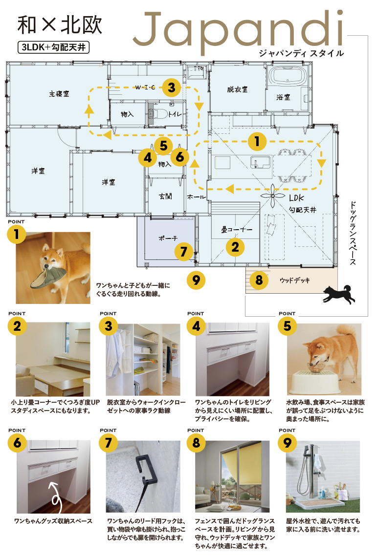  OPEN｜ペットとみんなにやさしい家   アイフルホーム | イワナミ 岩国市柳井市益田市浜田市の注文住宅