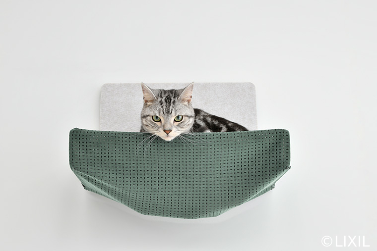  猫と暮らす家づくりLIXIL猫壁 にゃんぺきで実現する理想のキャットウォーク   アイフルホーム | イワナミ 岩国市柳井市益田市浜田市の注文住宅
