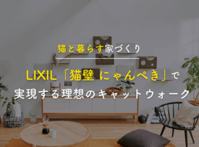 【猫と暮らす家づくり】LIXIL「猫壁 にゃんぺき」で実現する理想のキャットウォーク