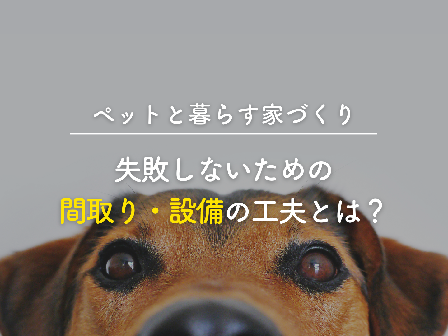  ペットと暮らす家づくり失敗しないための間取り設備の工夫とは   アイフルホーム | イワナミ 岩国市柳井市益田市浜田市の注文住宅