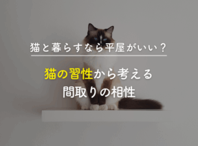 猫と暮らすなら平屋がいい?|猫の習性から考える間取りの相性