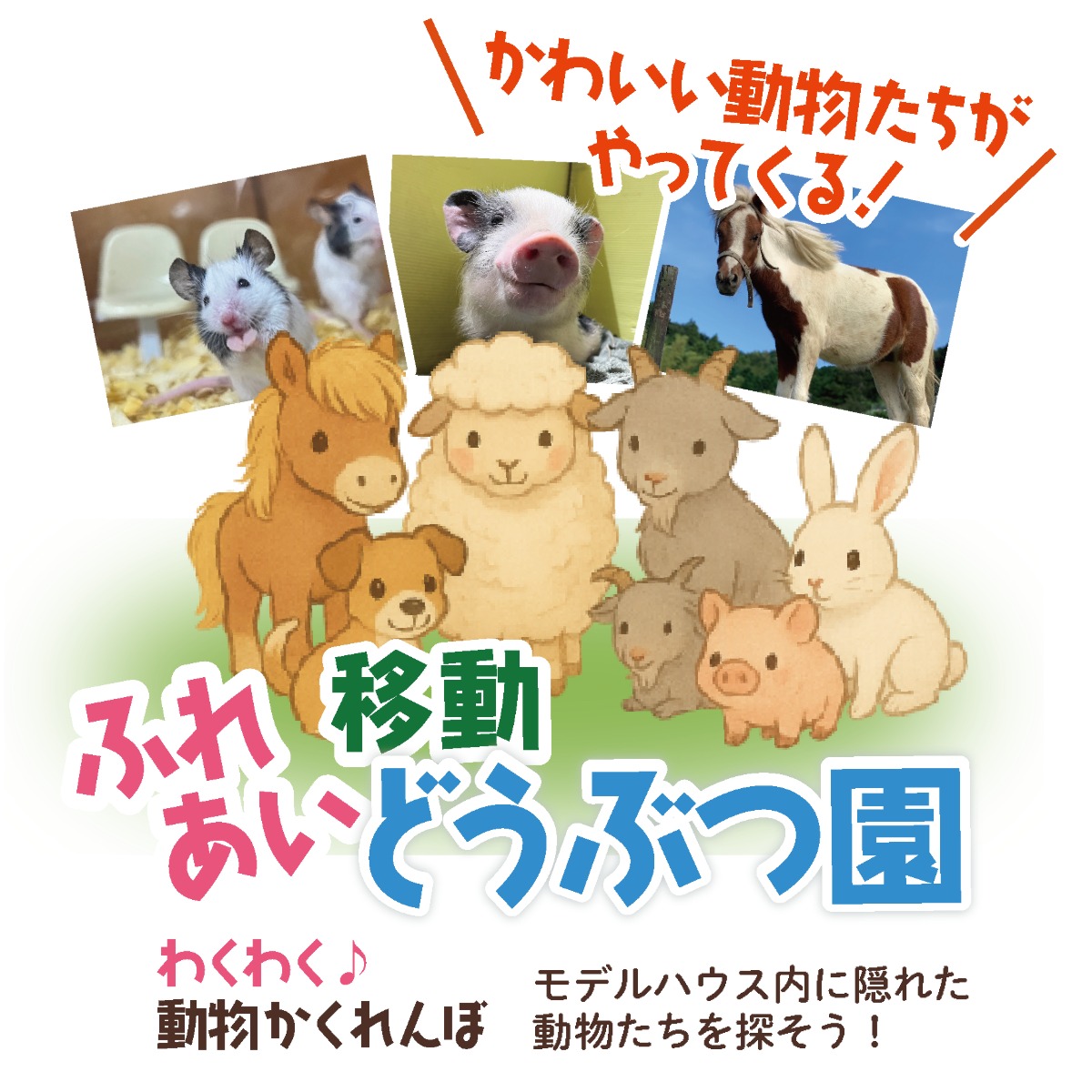  ＜柳井店＞イワナミ地域感謝祭   アイフルホーム | イワナミ 岩国市柳井市益田市浜田市の注文住宅