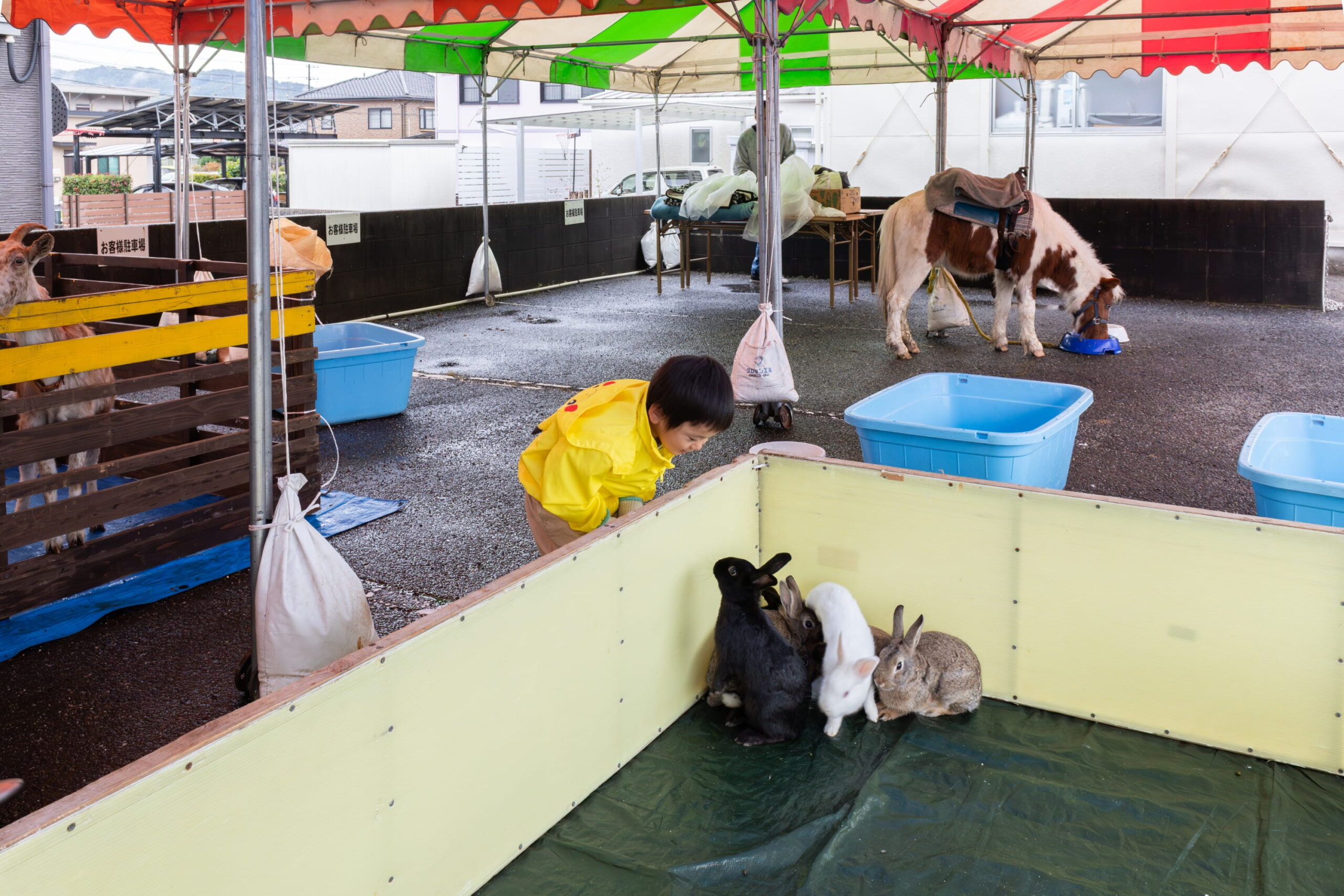  2025年イワナミ地域感謝祭を開催しました   アイフルホーム | イワナミ 岩国市柳井市益田市浜田市の注文住宅