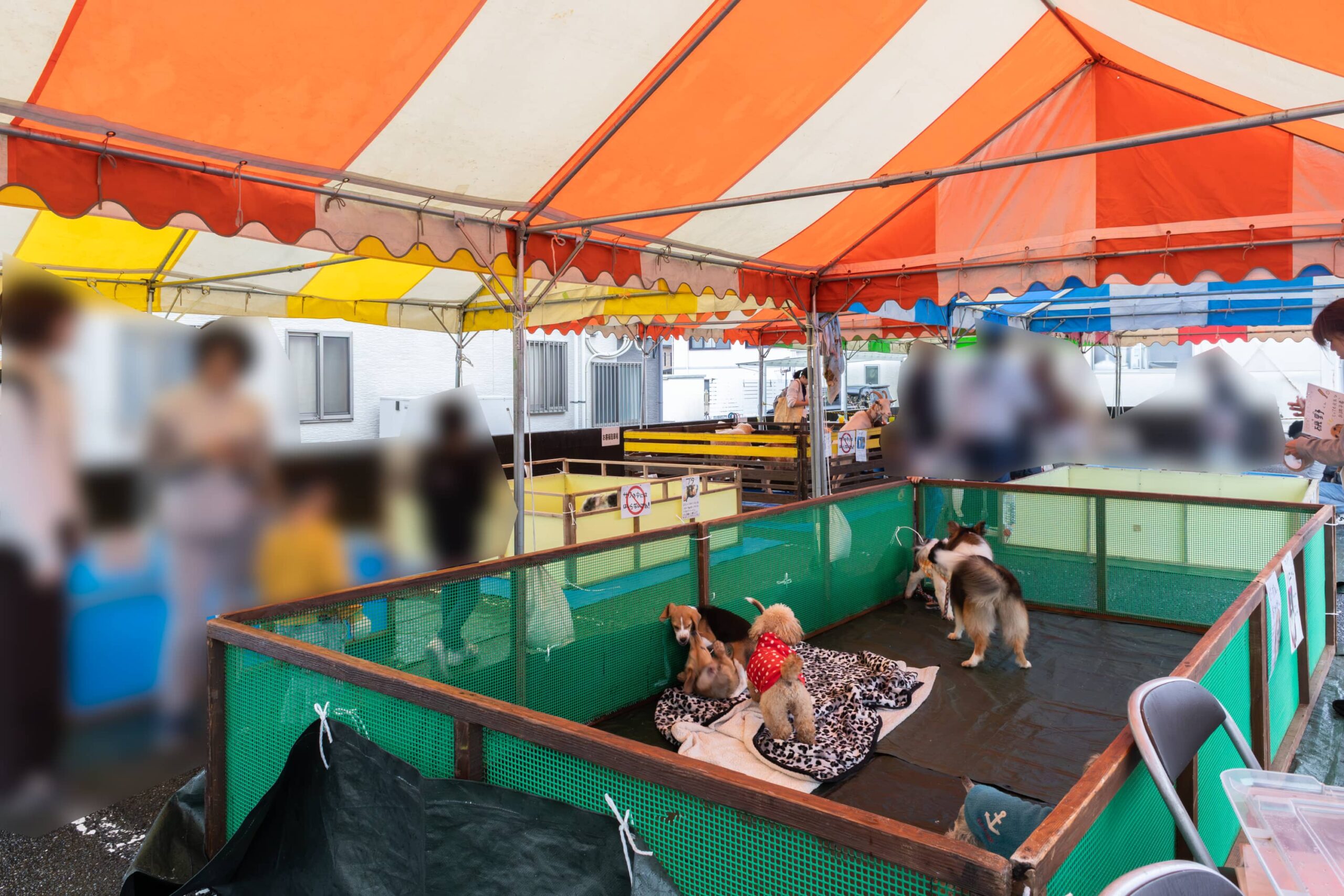  2025年イワナミ地域感謝祭を開催しました   アイフルホーム | イワナミ 岩国市柳井市益田市浜田市の注文住宅