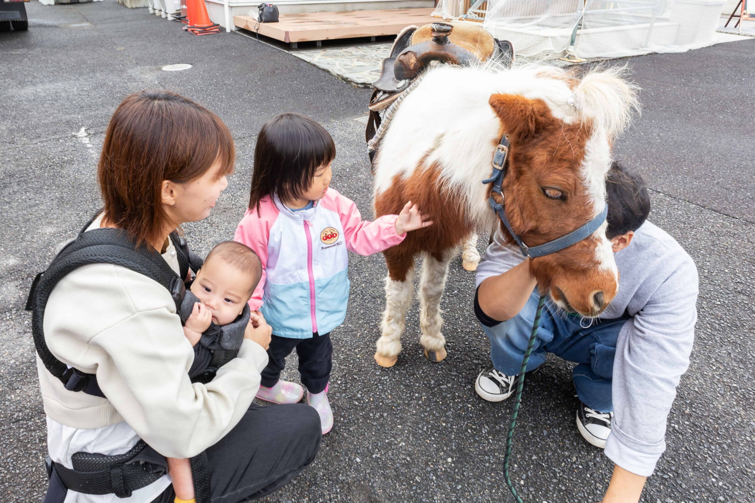  2025年イワナミ地域感謝祭を開催しました   アイフルホーム | イワナミ 岩国市柳井市益田市浜田市の注文住宅