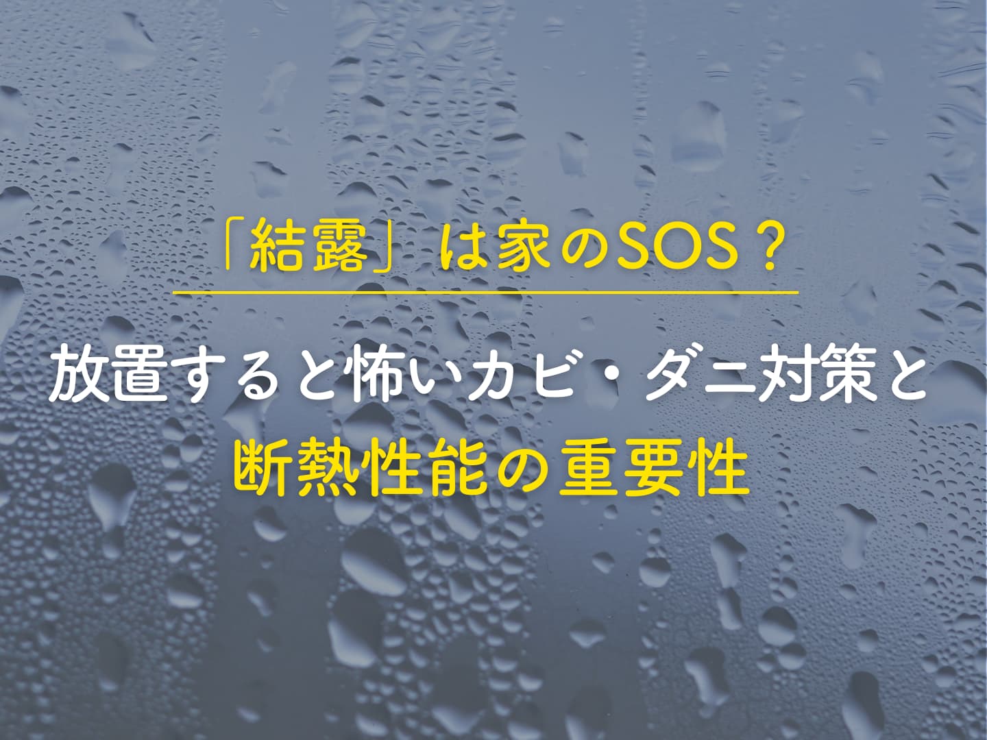 結露は家のSOS放置すると怖いカビダニ対策と断熱性能の重要性 アイフルホーム | イワナミ 岩国市柳井市益田市浜田市の注文住宅 2026年2月3日 結露は家のSOS放置すると怖いカビダニ対策と断熱性能の重要性 アイフルホーム | イワナミ 岩国市柳井市益田市浜田市の注文住宅
